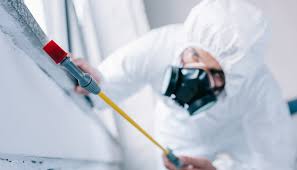 Best Pest Control for Multi-Family Homes  in Murphys, CA